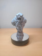 Battle Troll Bust – Fierce Lord of the Rings Collectible