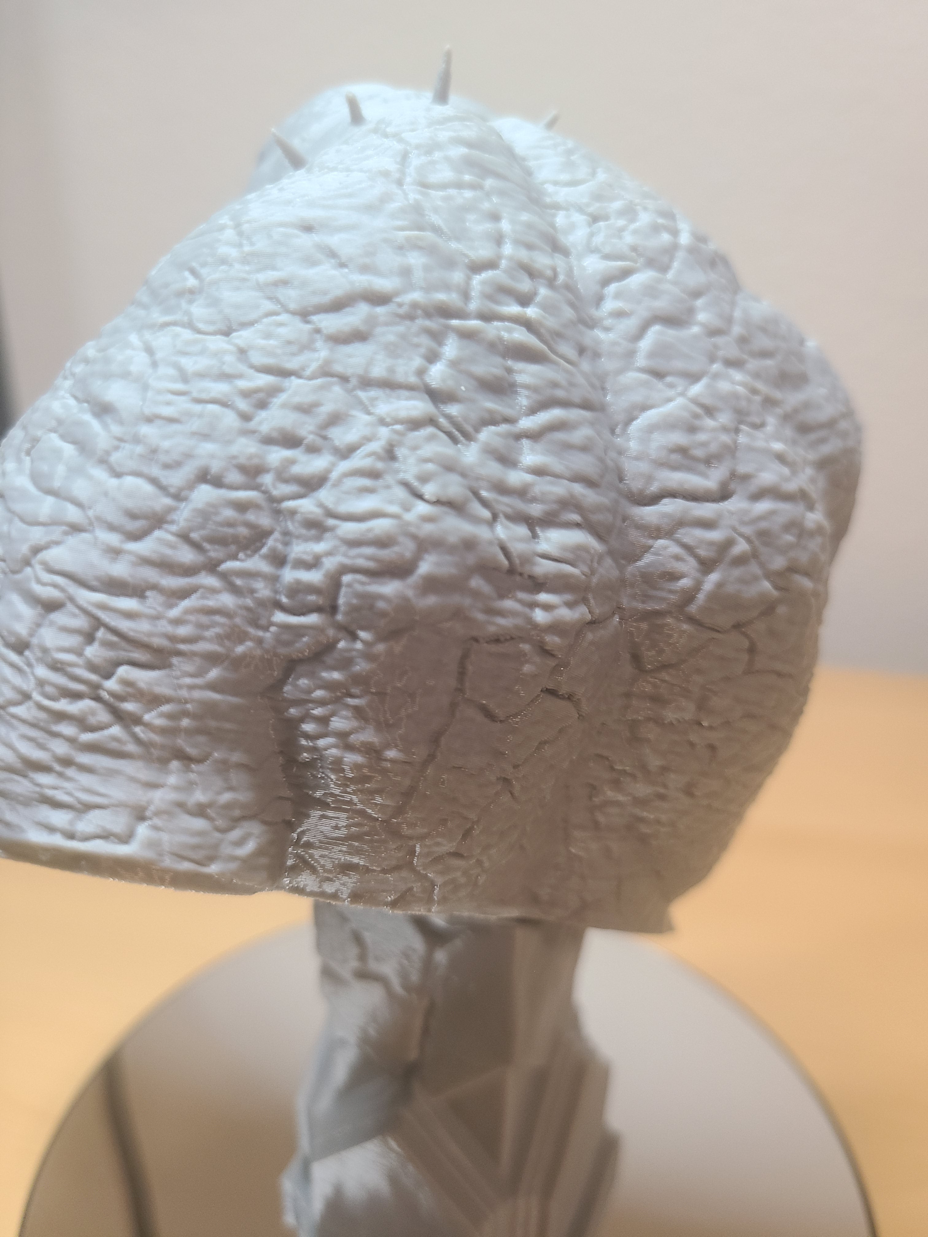 Cave Troll Bust – Epic Lord of the Rings Collectible