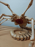 Life-Size Facehugger – Poseable Alien Prop