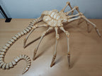 Life-Size Facehugger – Poseable Alien Prop