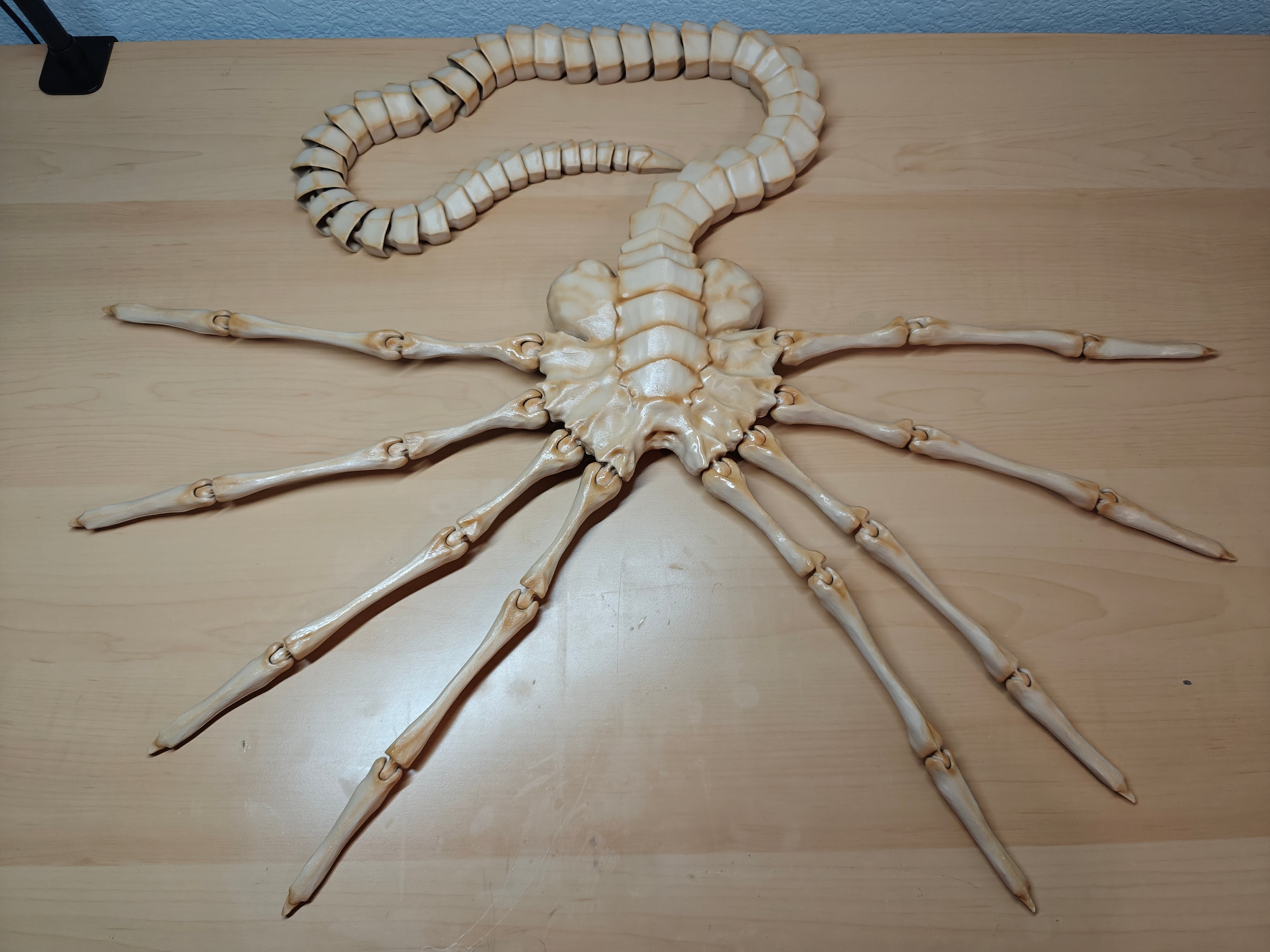 Life-Size Facehugger – Poseable Alien Prop
