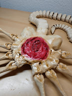Life-Size Facehugger – Poseable Alien Prop