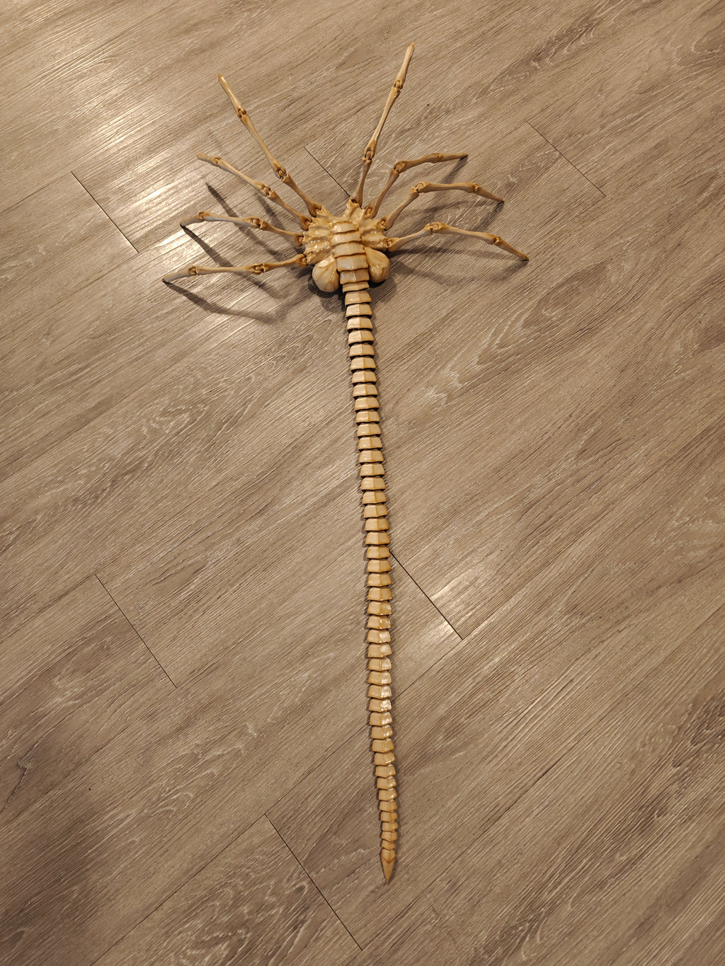 Life-Size Facehugger – Poseable Alien Prop
