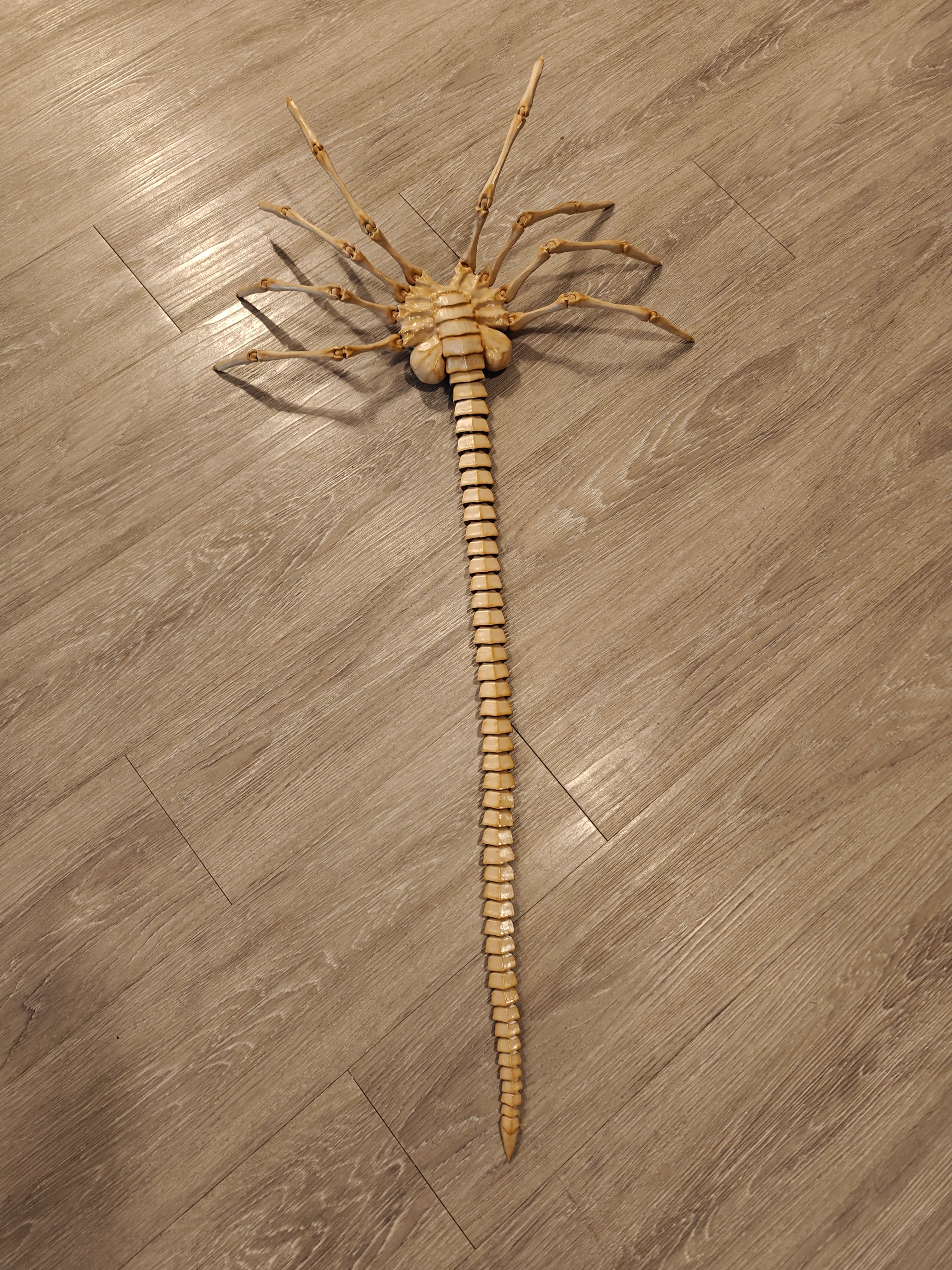 Life-Size Facehugger – Poseable Alien Prop