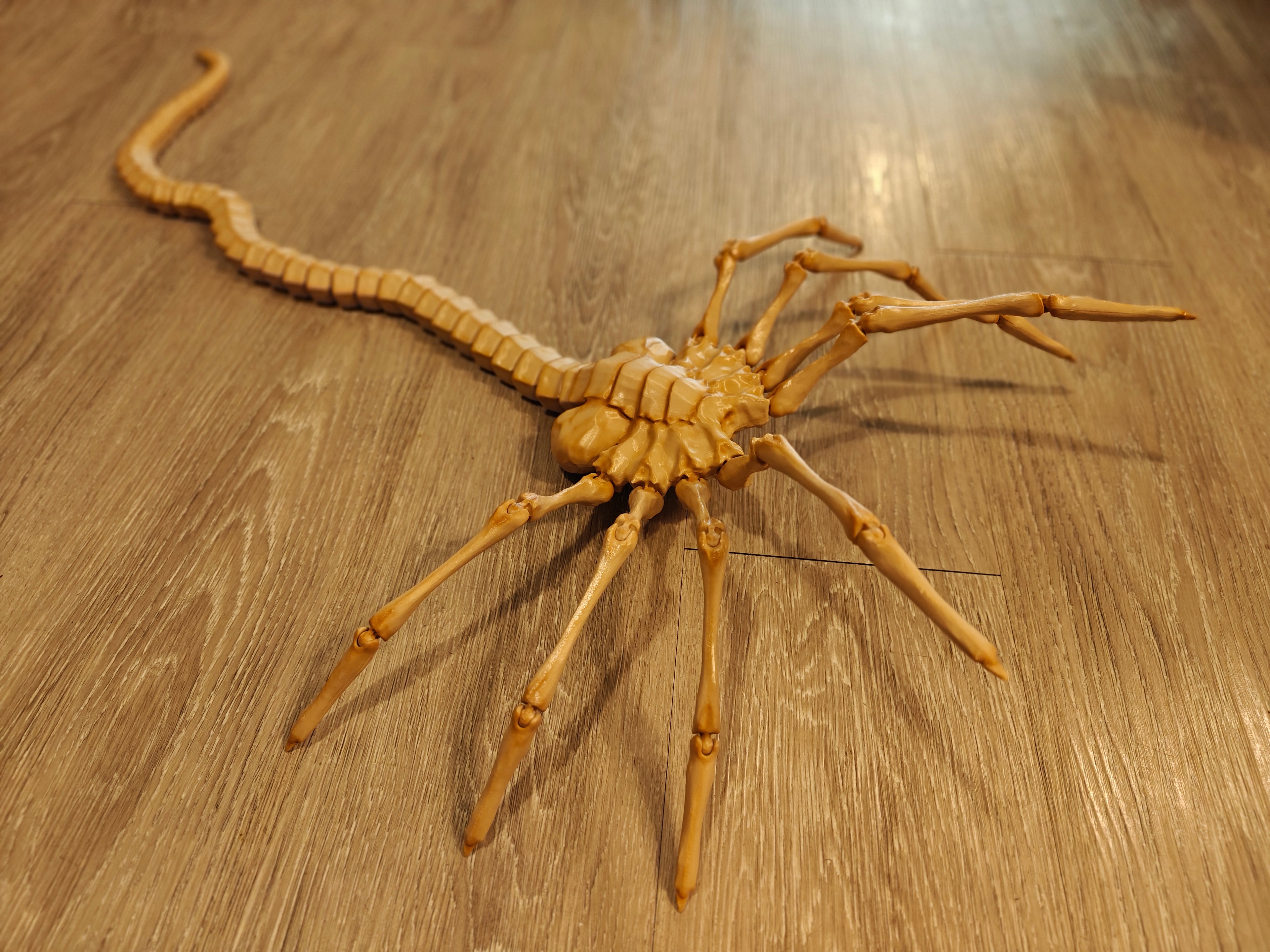 Life-Size Facehugger – Poseable Alien Prop