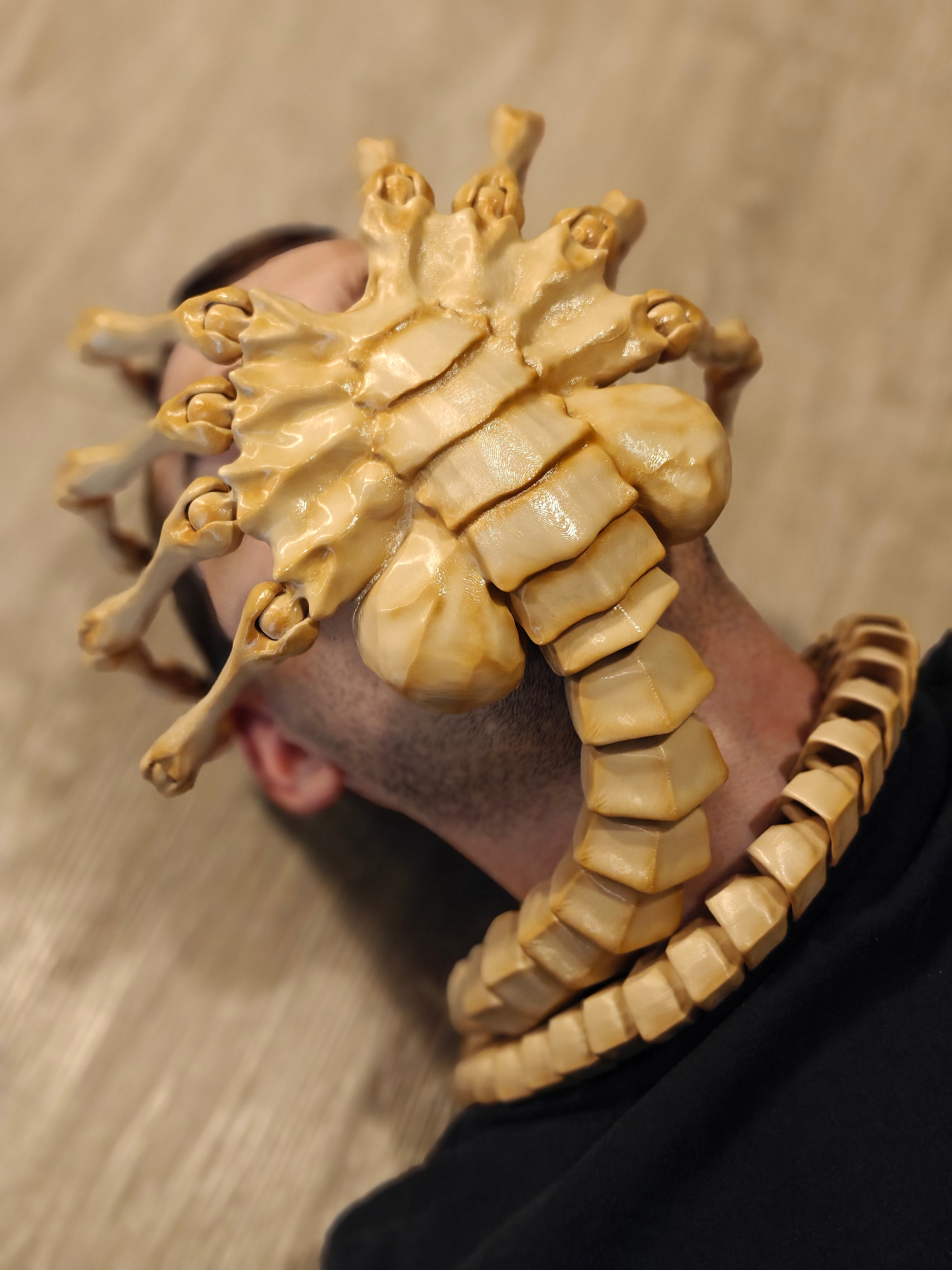 Life-Size Facehugger – Poseable Alien Prop
