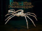 Life-Size Facehugger – Poseable Alien Prop