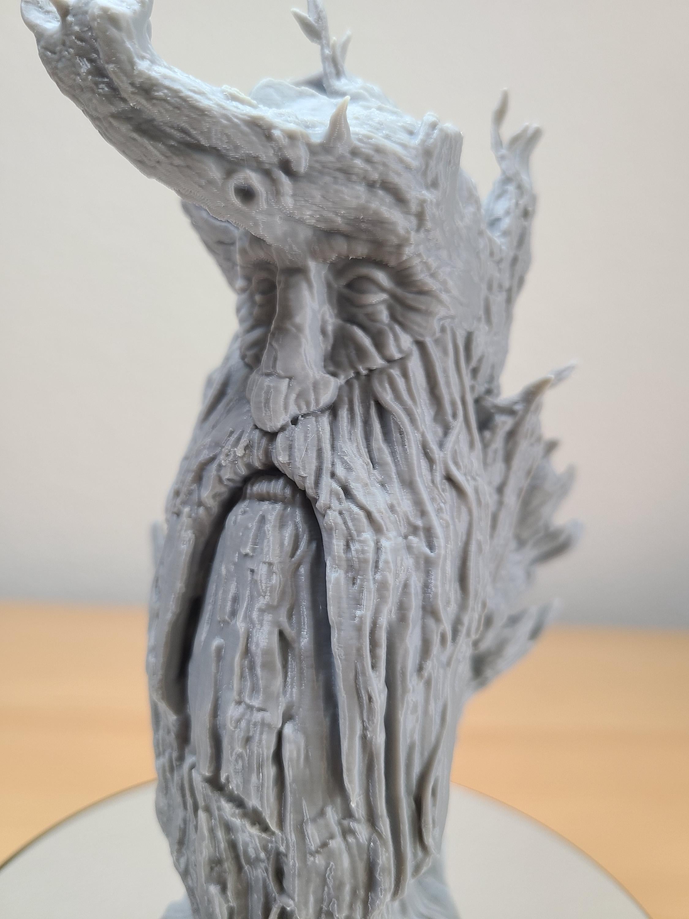 Treebeard Bust – Iconic Lord of the Rings Collectible