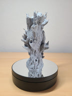 Treebeard Bust – Iconic Lord of the Rings Collectible