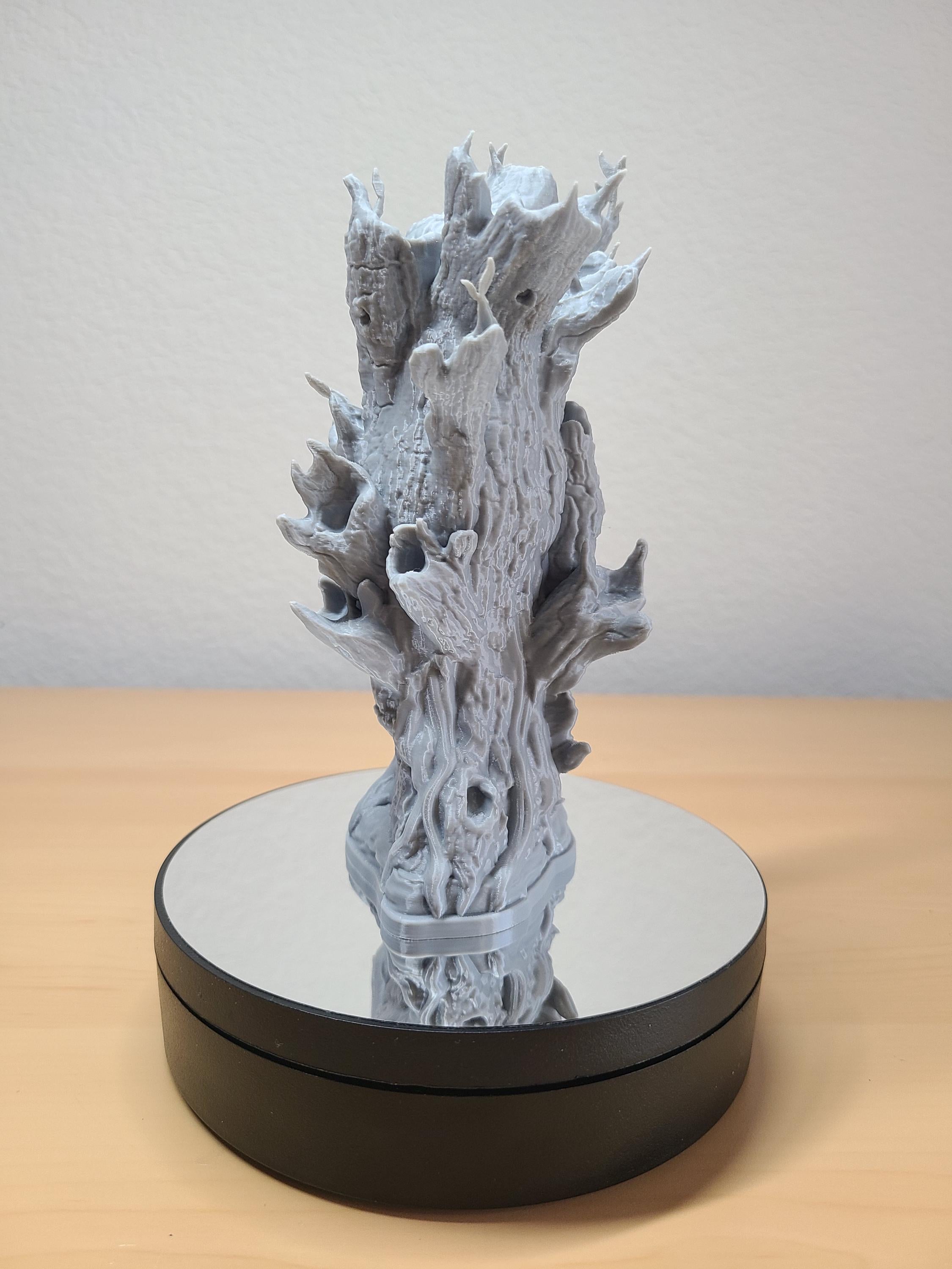 Treebeard Bust – Iconic Lord of the Rings Collectible
