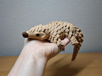 Articulated Pangolin – Flexible Animal Model