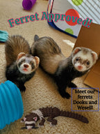 Articulated Ferret – Flexible Animal Model