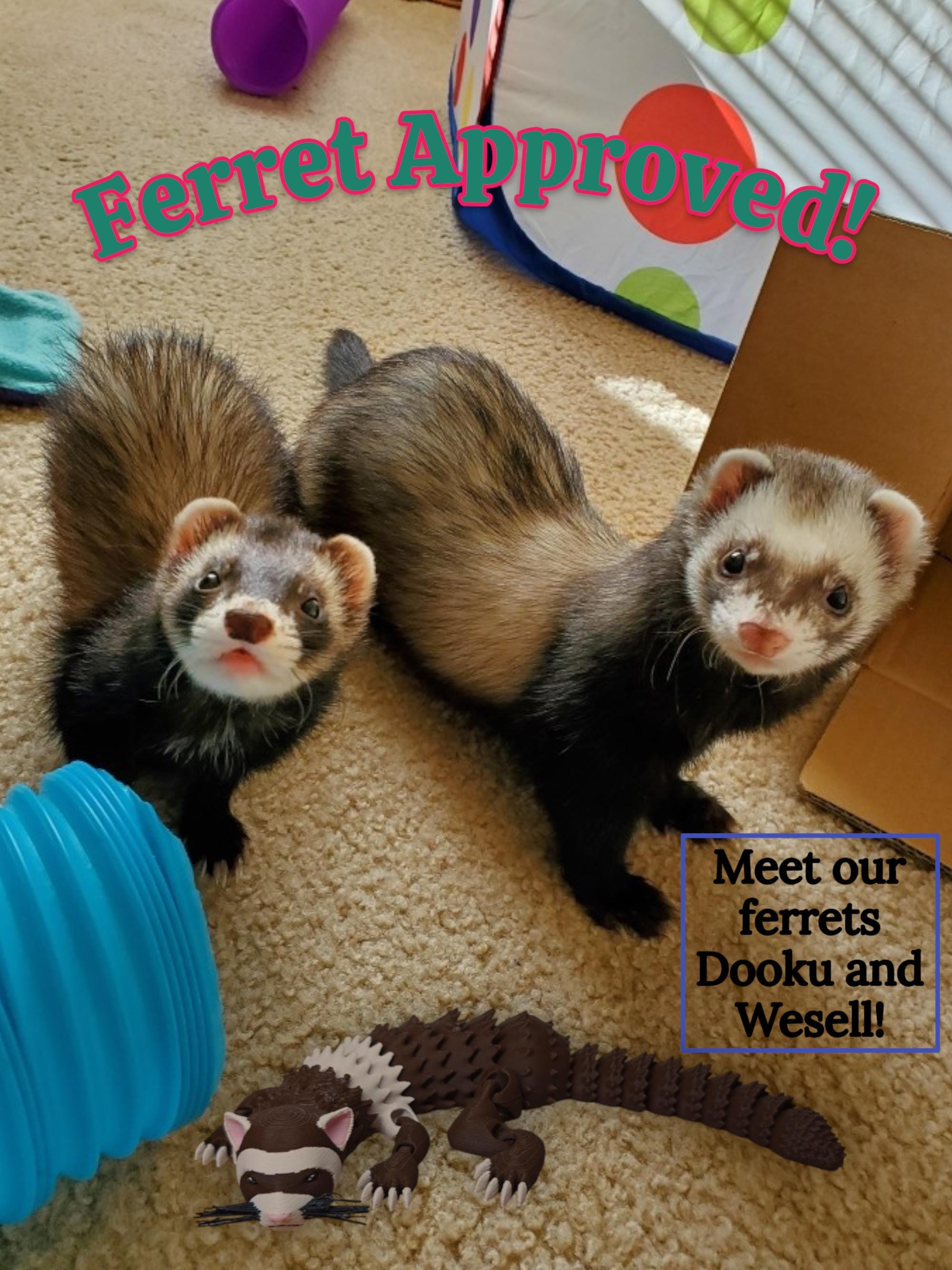 Articulated Ferret – Flexible Animal Model