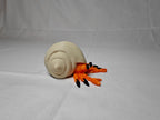Articulated Hermit Crab | Flexi Fidget Toy & Desk Buddy