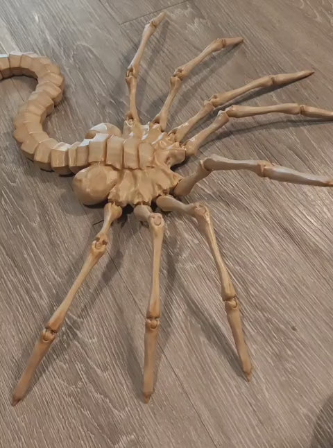 Life-Size Facehugger – Poseable Alien Prop